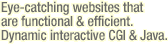 [Web Design - Eye-catching websites that are functional and efficient. Dynamic interactive CGI & Java.]